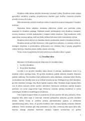 Lietuvos draudimo rinkos plėtros 2000-2003 metais įvertinimas 5 puslapis