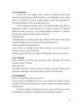 Lietuvos ekonominė politika, ekonomikos raida 18 puslapis