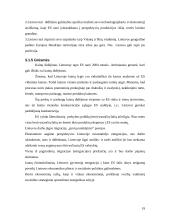 Lietuvos ekonominė politika, ekonomikos raida 19 puslapis