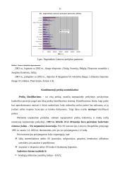 Lietuvos eksporto ir importo dinamika 1995-2003 metais 11 puslapis