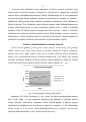 Lietuvos eksporto ir importo dinamika 1995-2003 metais 6 puslapis