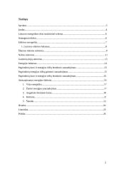 Lietuvos energetikos sektoriaus dinamika 2 puslapis