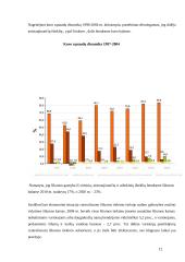 Lietuvos energetikos sektoriaus dinamika 12 puslapis