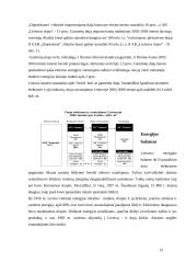 Lietuvos energetikos sektoriaus dinamika 15 puslapis