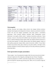 Lietuvos energetikos sektoriaus dinamika 19 puslapis