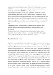 Lietuvos energetikos sektoriaus dinamika 20 puslapis