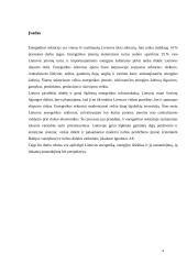 Lietuvos energetikos sektoriaus dinamika 4 puslapis