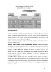 Lietuvos energetikos sektoriaus dinamika 6 puslapis