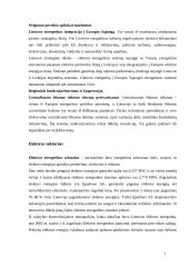 Lietuvos energetikos sektoriaus dinamika 7 puslapis