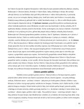 Lietuvos geopolitinės padėties bruožai 16 puslapis