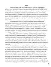 Lietuvos geopolitinės padėties bruožai 3 puslapis