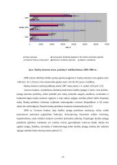 Kreditų sistema Lietuvoje 12 puslapis