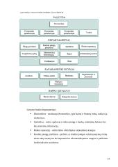 Lietuvos monetarinė (pinigų) politika 13 puslapis