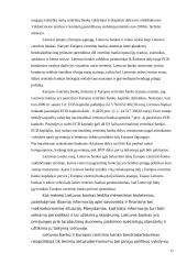Lietuvos monetarinė (pinigų) politika 17 puslapis