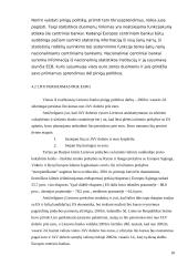 Lietuvos monetarinė (pinigų) politika 18 puslapis