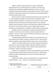 Lietuvos monetarinė (pinigų) politika 20 puslapis