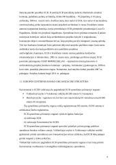 Lietuvos monetarinė (pinigų) politika 4 puslapis