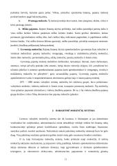 Lietuvos mokesčių sistema - formavimasis bei dabartinė sistema 11 puslapis