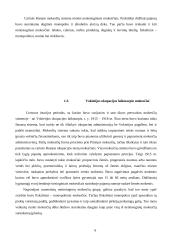Lietuvos mokesčių sistema - formavimasis bei dabartinė sistema 6 puslapis