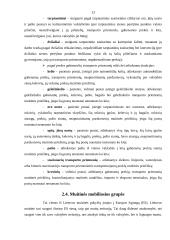 Lietuvos Respublikos (LR) muitinės misija, vizija, struktūra ir funkcijos 12 puslapis