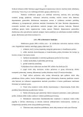 Lietuvos Respublikos (LR) muitinės misija, vizija, struktūra ir funkcijos 13 puslapis