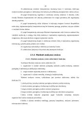 Lietuvos Respublikos (LR) muitinės misija, vizija, struktūra ir funkcijos 19 puslapis