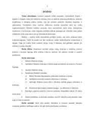 Lietuvos Respublikos (LR) muitinės misija, vizija, struktūra ir funkcijos 2 puslapis