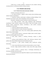 Lietuvos Respublikos (LR) muitinės misija, vizija, struktūra ir funkcijos 20 puslapis