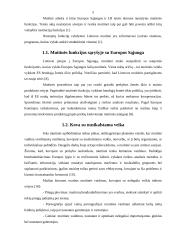 Lietuvos Respublikos (LR) muitinės misija, vizija, struktūra ir funkcijos 4 puslapis