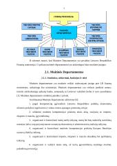 Lietuvos Respublikos (LR) muitinės misija, vizija, struktūra ir funkcijos 6 puslapis