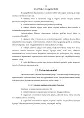 Lietuvos Respublikos (LR) muitinės misija, vizija, struktūra ir funkcijos 9 puslapis