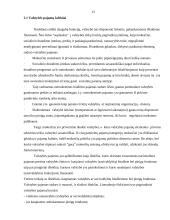 Lietuvos Respublikos valstybės biudžetas 12 puslapis