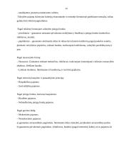 Lietuvos Respublikos valstybės biudžetas 13 puslapis