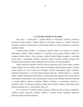 Lietuvos Respublikos valstybės biudžetas 20 puslapis