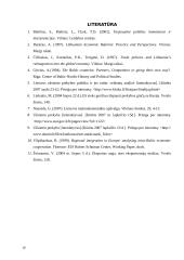 Lietuvos užsienio prekybos politikos analizė 19 puslapis