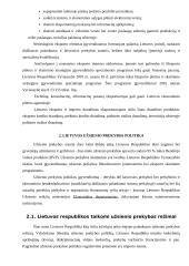 Lietuvos užsienio prekybos politika 5 puslapis