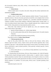 Lietuvos užsienio prekybos tendencijos ir prioritetai 7 puslapis