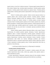 Lietuvos vertybinių popierių apskaitos sistema 11 puslapis