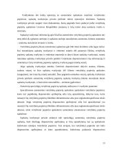 Lietuvos vertybinių popierių apskaitos sistema 13 puslapis