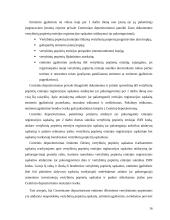 Lietuvos vertybinių popierių apskaitos sistema 16 puslapis