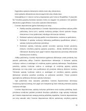 Lietuvos vertybinių popierių apskaitos sistema 18 puslapis