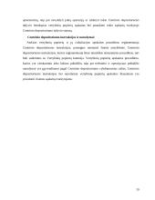 Lietuvos vertybinių popierių apskaitos sistema 19 puslapis