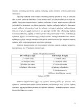 Lietuvos vertybinių popierių apskaitos sistema 6 puslapis