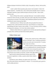 Lyginamoji analizė: viešbučiai "Kaunas" ir "Perkūno namai" 11 puslapis