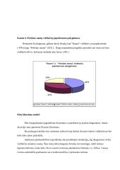 Lyginamoji analizė: viešbučiai "Kaunas" ir "Perkūno namai" 17 puslapis