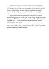 Lyginamoji analizė: viešbučiai "Kaunas" ir "Perkūno namai" 18 puslapis