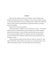 Lyginamoji analizė: viešbučiai "Kaunas" ir "Perkūno namai" 19 puslapis