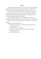 Lyginamoji analizė: viešbučiai "Kaunas" ir "Perkūno namai" 3 puslapis