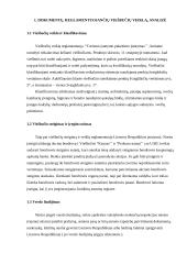 Lyginamoji analizė: viešbučiai "Kaunas" ir "Perkūno namai" 4 puslapis