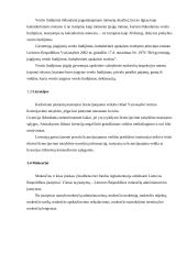 Lyginamoji analizė: viešbučiai "Kaunas" ir "Perkūno namai" 5 puslapis